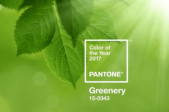 Personal Stylist Houston Pantone Color of the Year Greenery