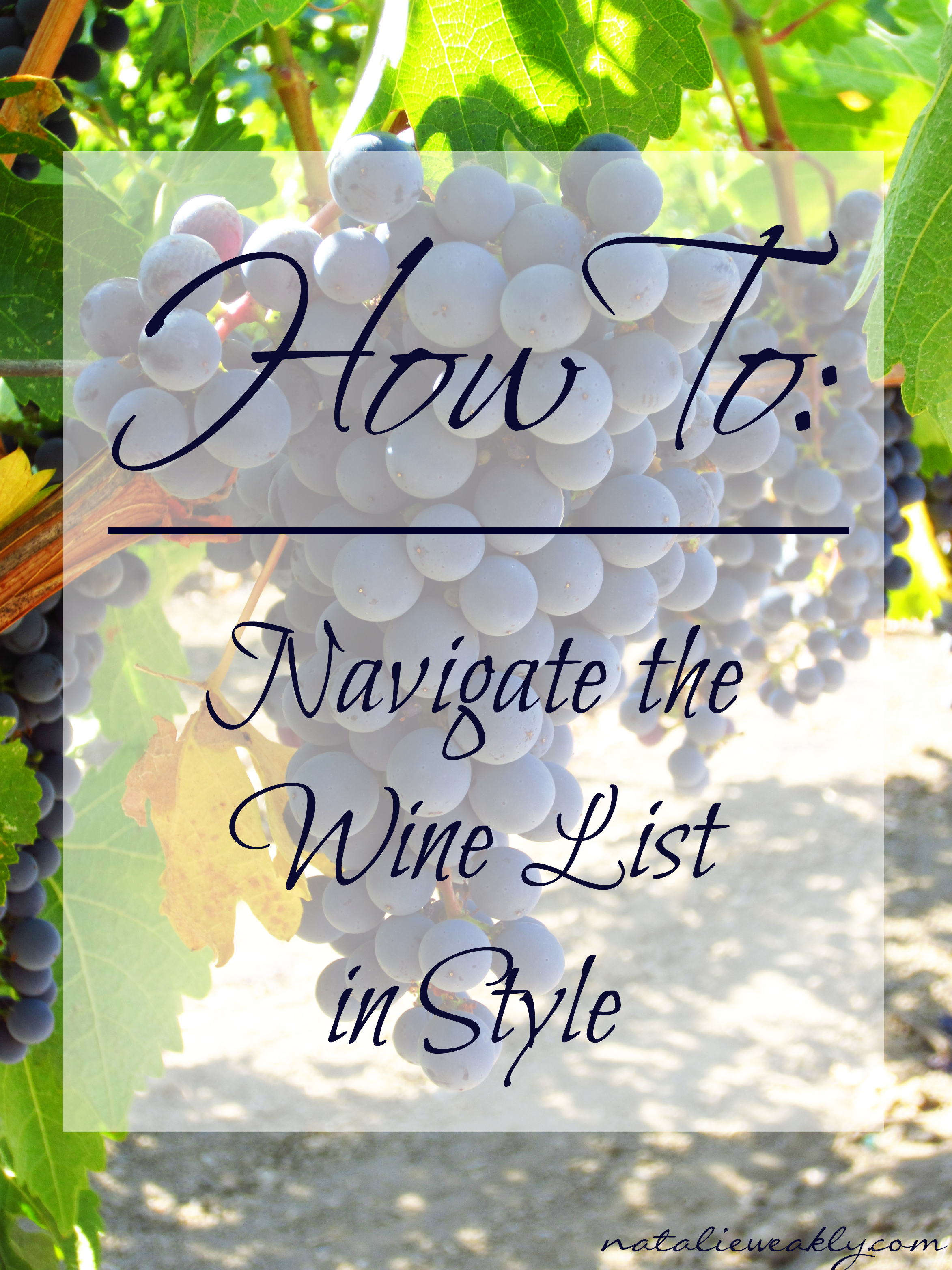 Natalie Weakly Image Consultant Houston Signature Style How to Navigate the Wine List in Style Intro Pic